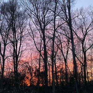 Meet your Posher, Andre